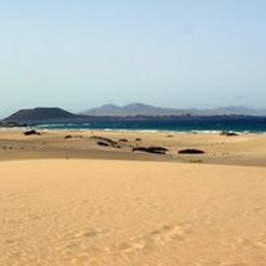 Manfred Meier-Nüssle