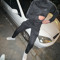 bayram