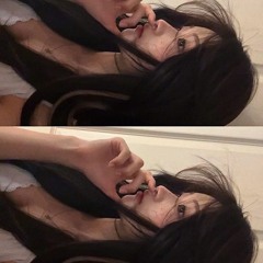 모노사파를 국회로