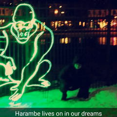 harambe 4eva