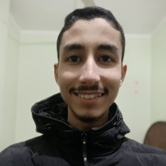 Muhammad E. Zakariya