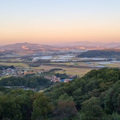 닛시닛시