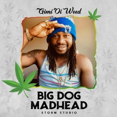 Bigdog MadHead