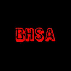 BHSA - Big Hearts Small Artists