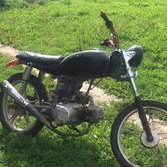 на колени сучка