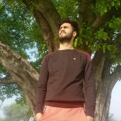 ملک اویس