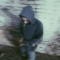 MOSIN