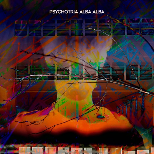 Psicotia Alma’s avatar
