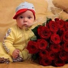 اماني الشيخ