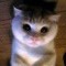 shiyan said