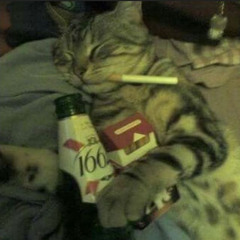 F0VARD0V
