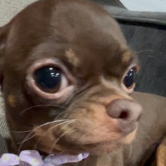 Kihara