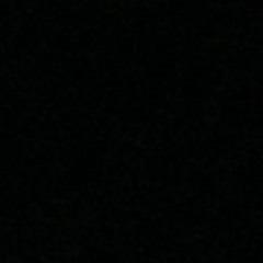 lectin