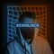 ECHOLOCK