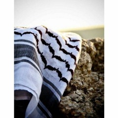 'هآاجر'🍂 _‏