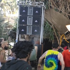 forestdelic