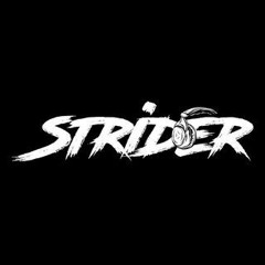 DJ STRIDER