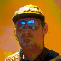 abchotisnevra