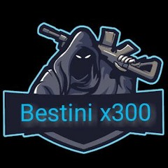 bestini x300