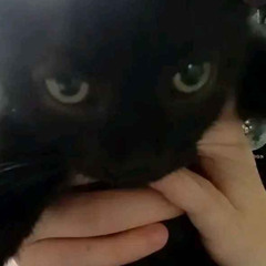 cm spunky