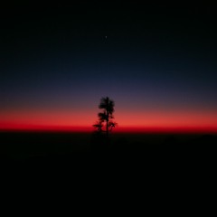 syzygy