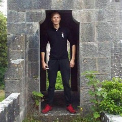 Artis Langmanis