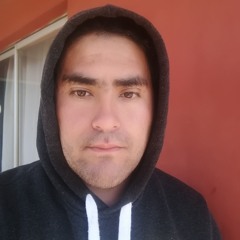 Sebastianolguinmedina