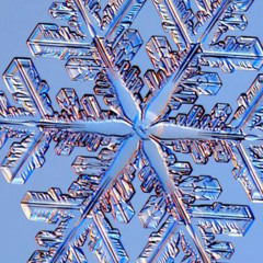 tundra