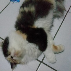 Eka Setiawan