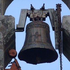 campanita