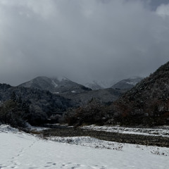 Nagaji
