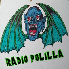 Radio Polilla 35