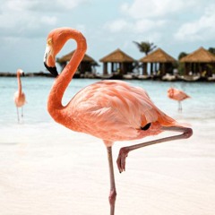 lovemusic