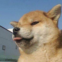 손원일