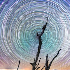 Fernando Montes De Oca