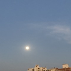 Dina.M.Farj