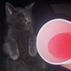 honeybourbonbackwood