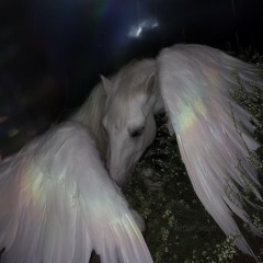 ليس مثل أي شخص آخر