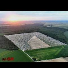 cartone