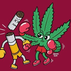 CANCHON(RATS)🔥🔥🔥💣