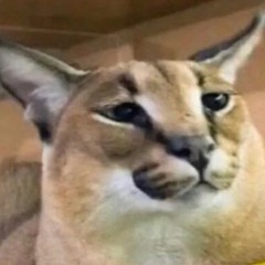 PukiLynx