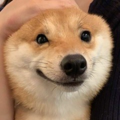 thấy thật vui được làm kiếp cá hồi