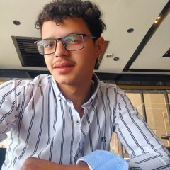 Mohamed Mostafa