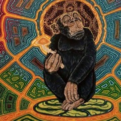 The Stoned Ape Theory
