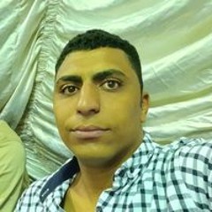 Mahmoud Amer