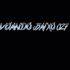 voando baixo 027