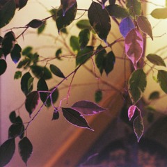 le grand notor (the notorious big – juicy)