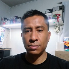 Amilcar Alvarado Ruiz