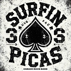 SURFIN PICAS