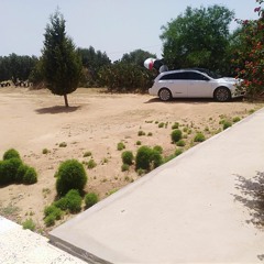 zaineb